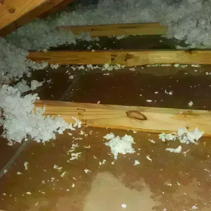 Attic Water Damage in Owens Cross Roads, AL